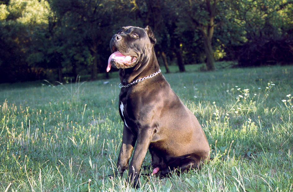 PA069.jpg